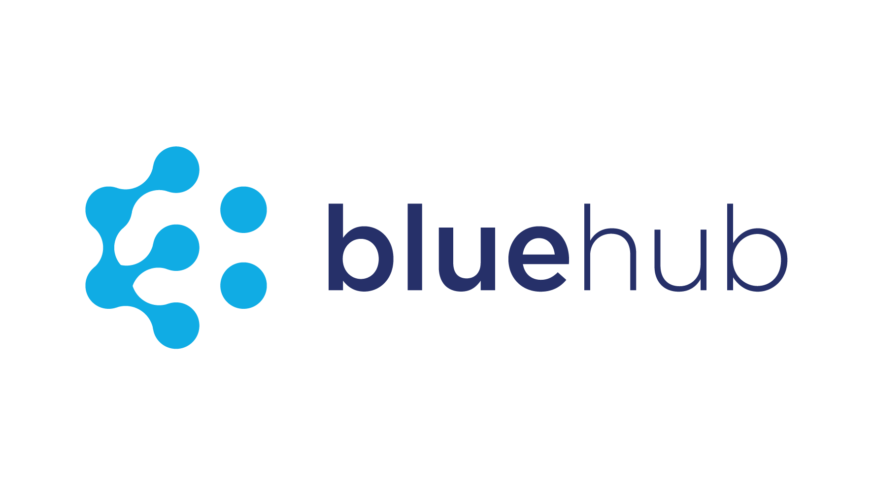 BlueHub Logo